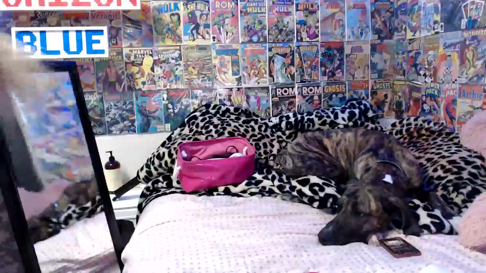 Gallery image thumbnail from Horizon_Blue's myfreecams stream on, 05/20/2024, 08:11 image 14 of 20