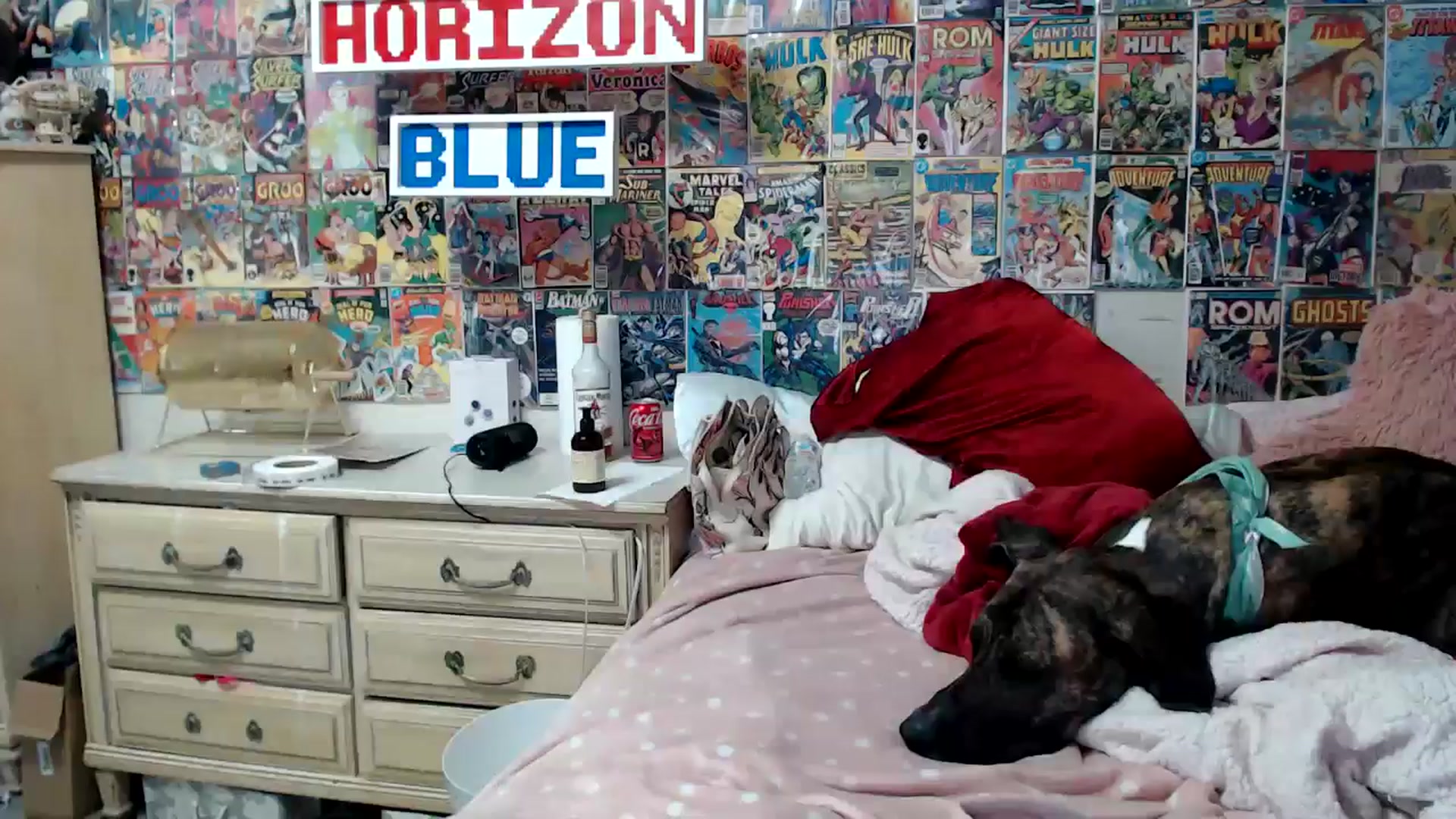 Gallery image thumbnail from Horizon_Blue's myfreecams stream on, 07/27/2024, 04:18 image 4 of 20