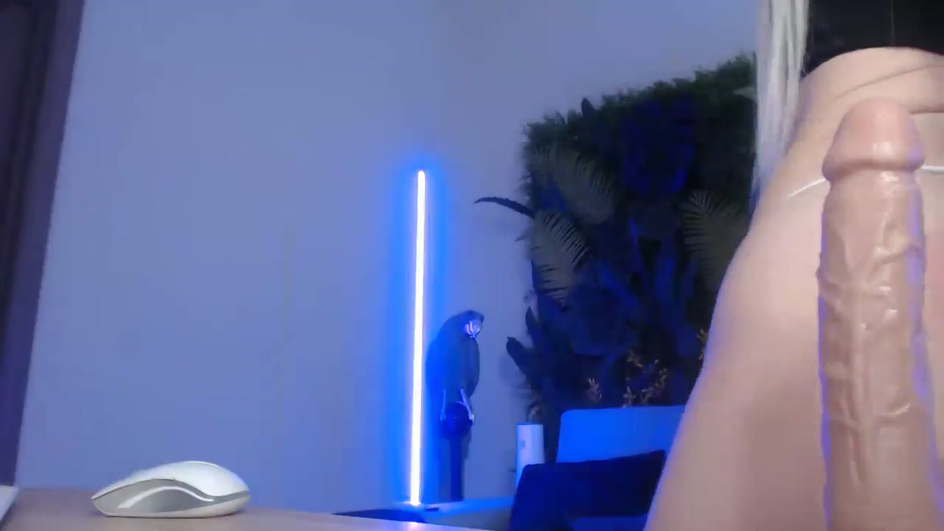 Gallery image thumbnail from Horny_Blond's myfreecams stream on, 06/05/2024, 11:20 image 18 of 20