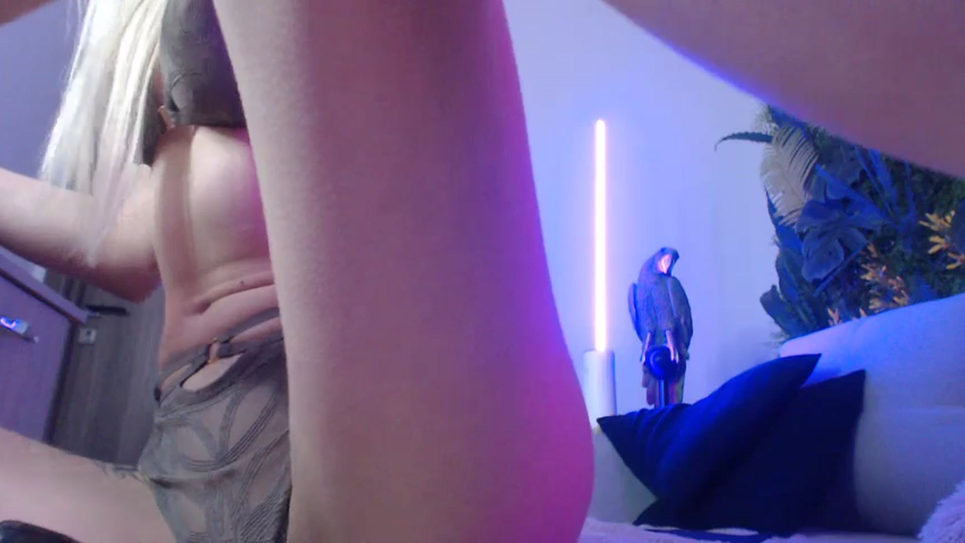 Gallery image thumbnail from Horny_Blond's myfreecams stream on, 06/20/2024, 12:01 image 14 of 20