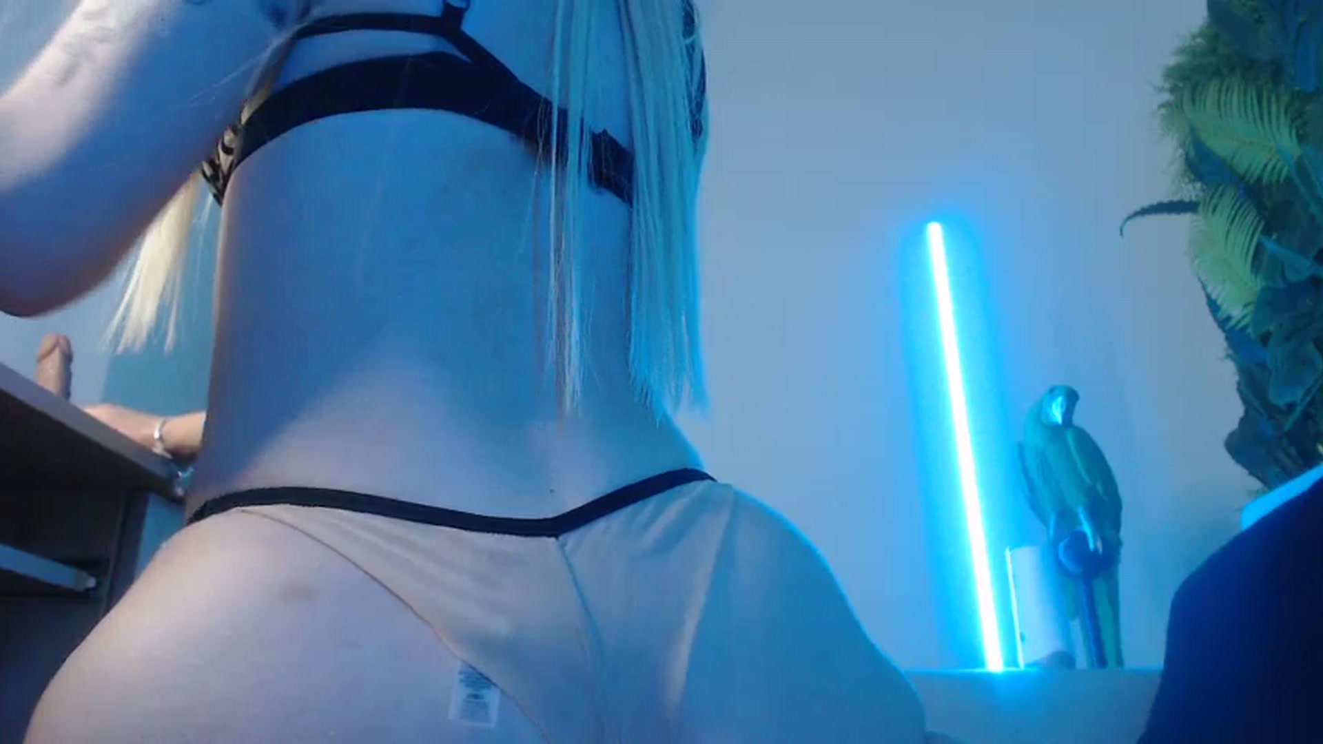 Gallery image thumbnail from Horny_Blond's myfreecams stream on, 06/24/2024, 10:42 image 8 of 20
