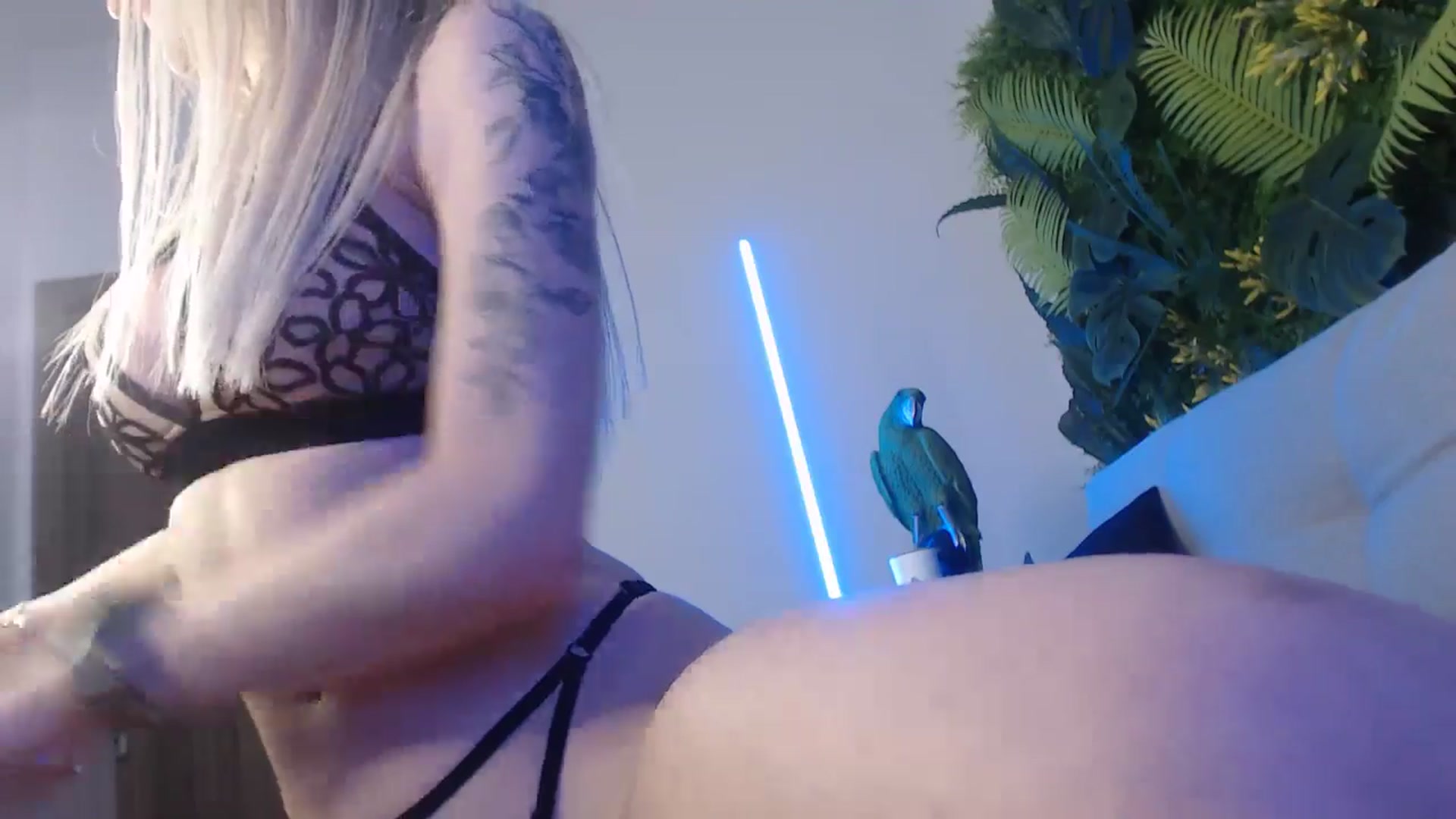 Gallery image thumbnail from Horny_Blond's myfreecams stream on, 07/05/2024, 09:24 image 18 of 20