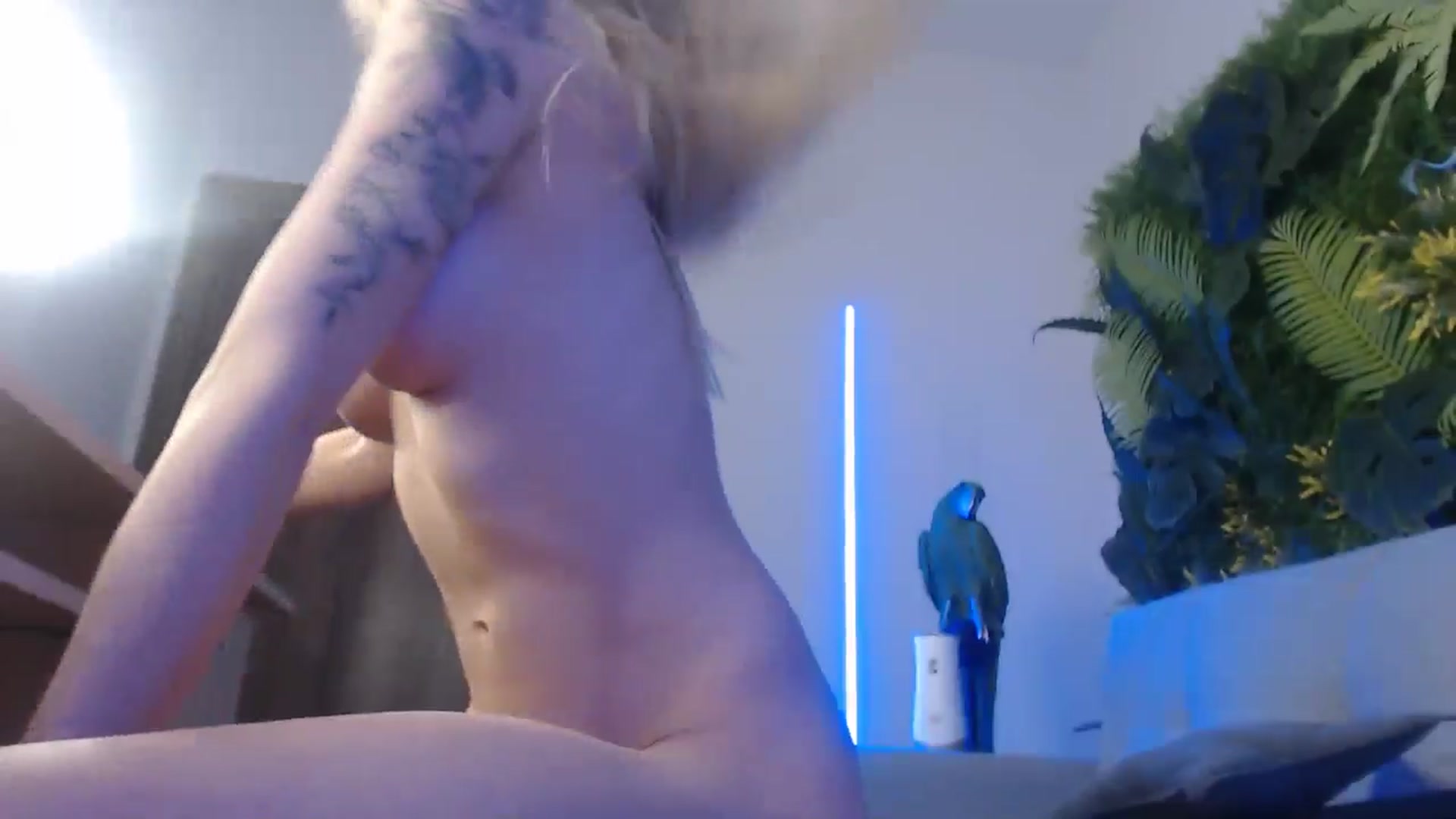 Gallery image thumbnail from Horny_Blond's myfreecams stream on, 07/07/2024, 11:19 image 4 of 20