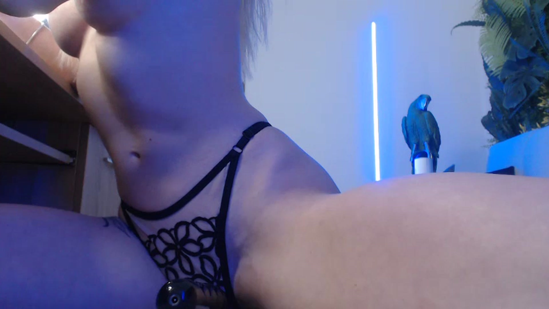 Gallery image thumbnail from Horny_Blond's myfreecams stream on, 07/15/2024, 12:37 image 20 of 20