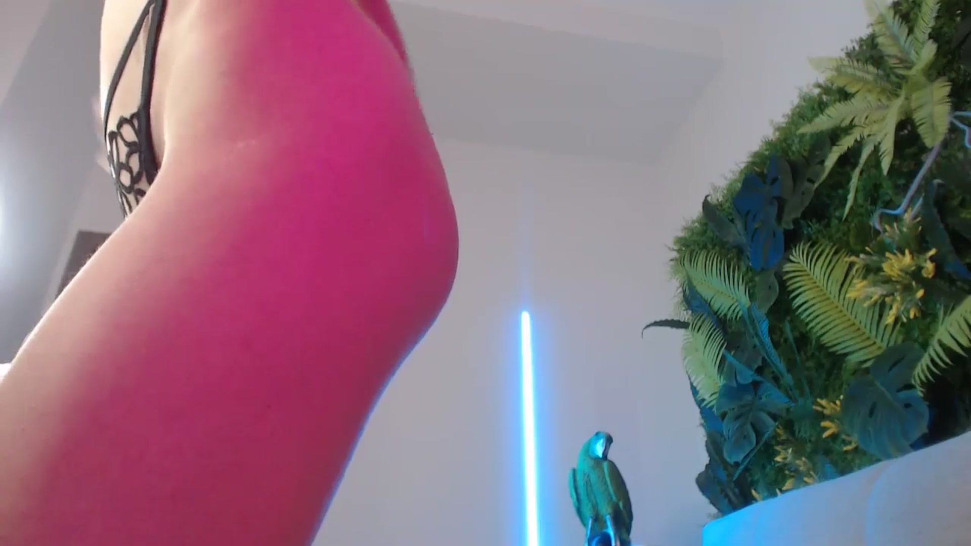 Gallery image thumbnail from Horny_Blond's myfreecams stream on, 07/29/2024, 12:43 image 2 of 20