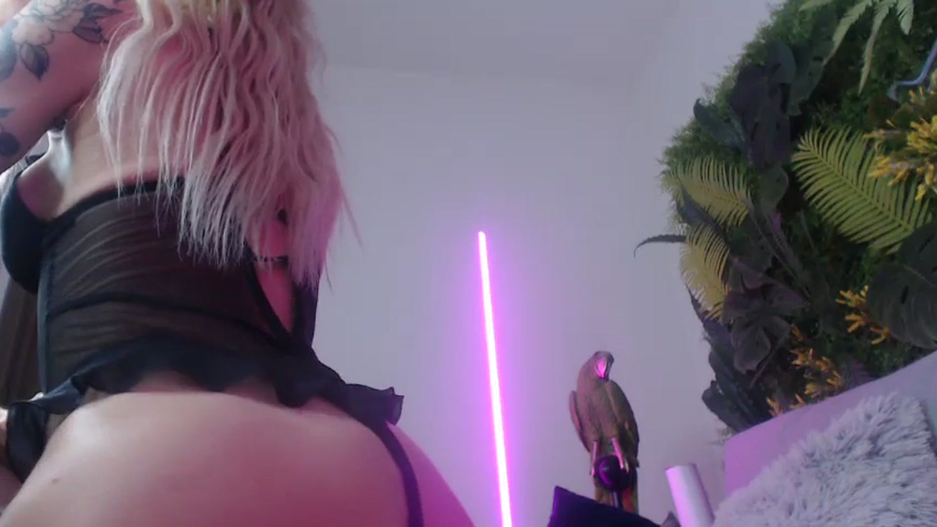 Gallery image thumbnail from Horny_Blond's myfreecams stream on, 08/16/2024, 10:15 image 5 of 20
