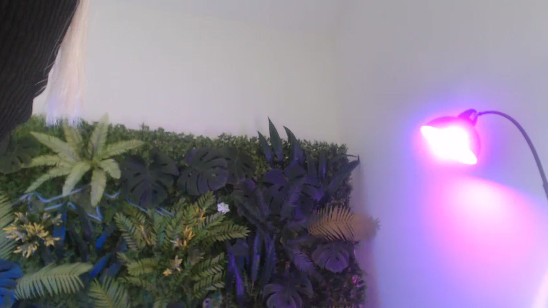 Gallery image thumbnail from Horny_Blond's myfreecams stream on, 11/02/2024, 11:40 image 20 of 20