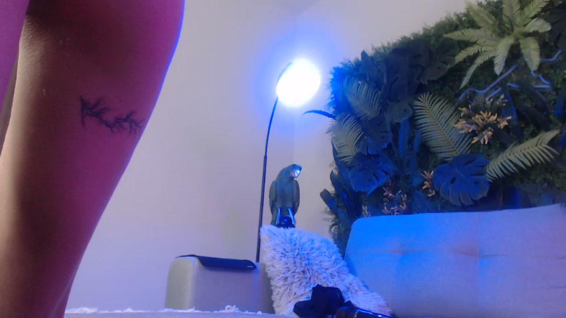 Gallery image thumbnail from Horny_Blond's myfreecams stream on, 11/04/2024, 14:25 image 1 of 20