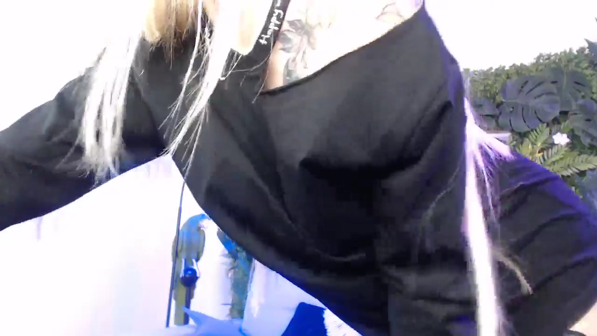 Gallery image thumbnail from Horny_Blond's myfreecams stream on, 11/13/2024, 11:28 image 12 of 20