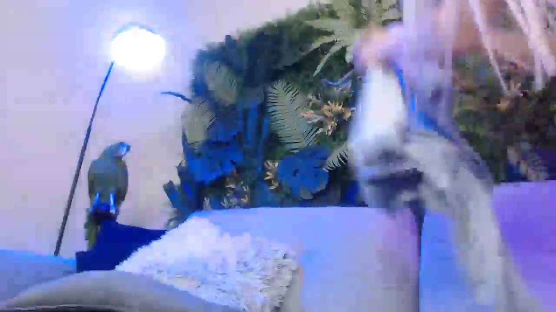 Gallery image thumbnail from Horny_Blond's myfreecams stream on, 12/07/2024, 14:02 image 20 of 20