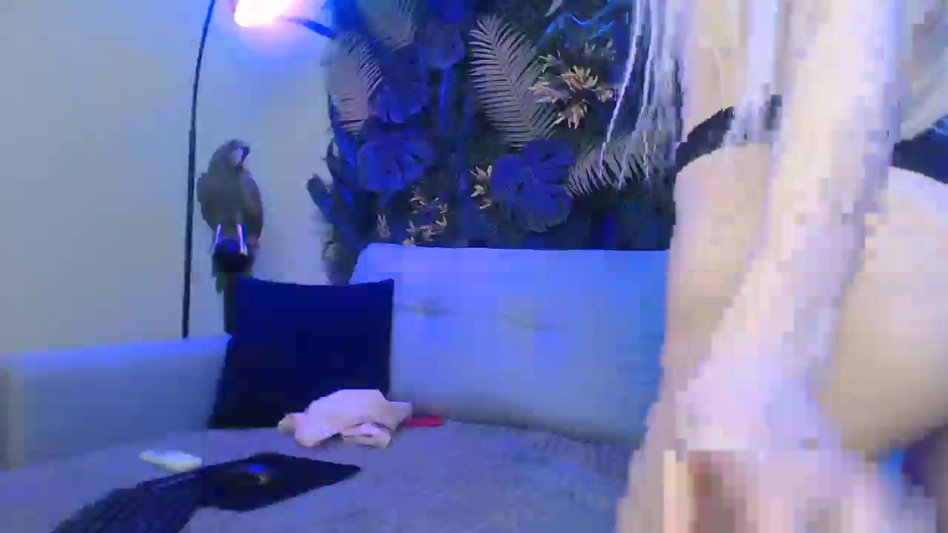 Gallery image thumbnail from Horny_Blond's myfreecams stream on, 12/10/2024, 13:53 image 16 of 20