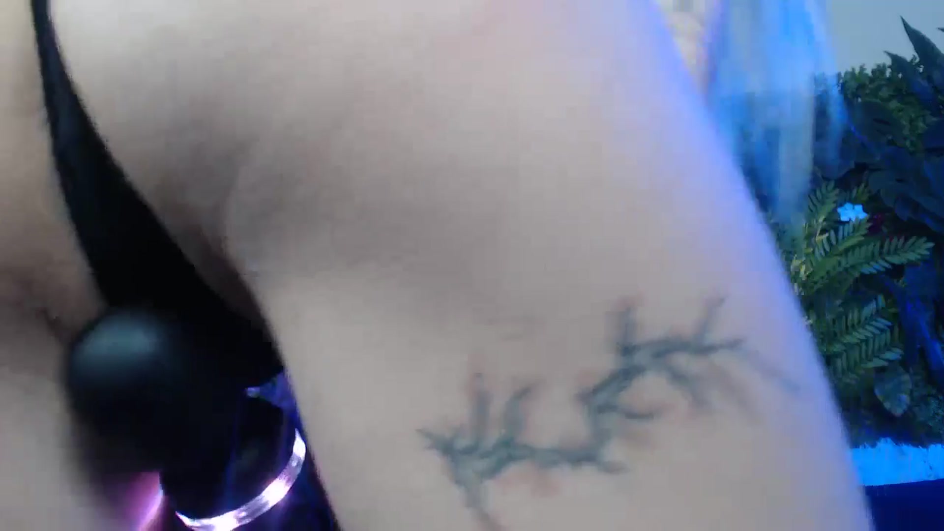 Gallery image thumbnail from Horny_Blond's myfreecams stream on, 01/17/2025, 14:52 image 2 of 20