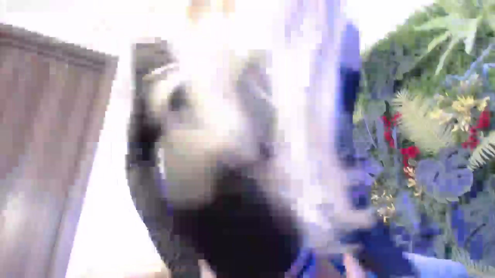 Gallery image thumbnail from Horny_Blond's myfreecams stream on, 01/24/2025, 09:58 image 3 of 20