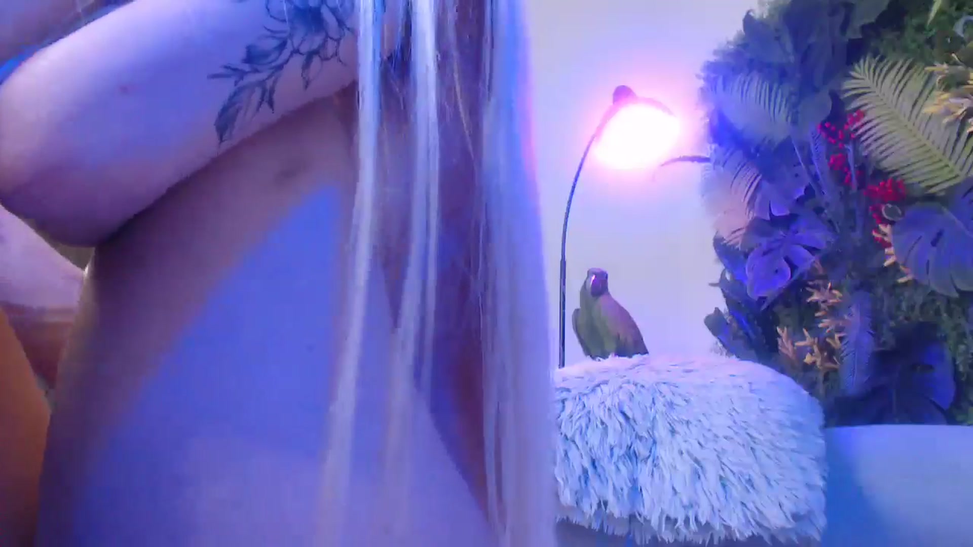 Gallery image thumbnail from Horny_Blond's myfreecams stream on, 06/11/2025, 12:55 image 7 of 20
