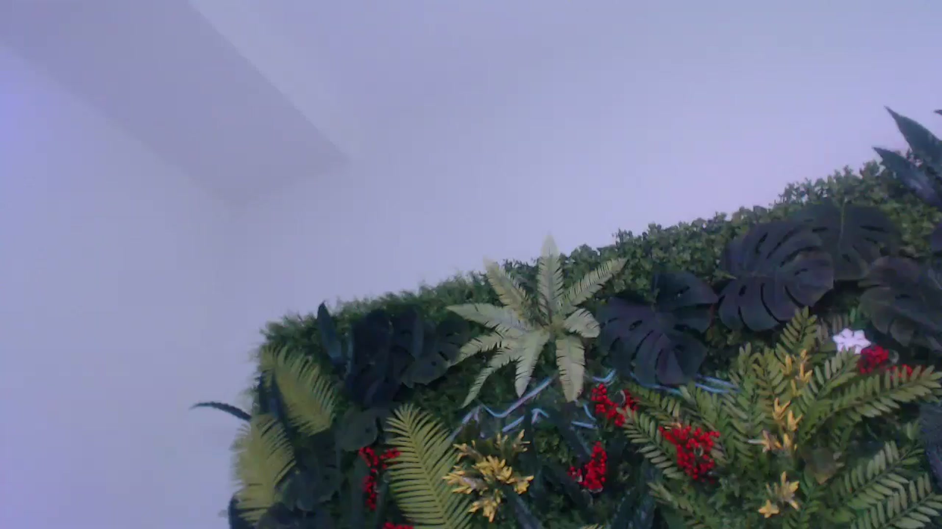 Gallery image thumbnail from Horny_Blond's myfreecams stream on, 06/28/2025, 10:10 image 14 of 20