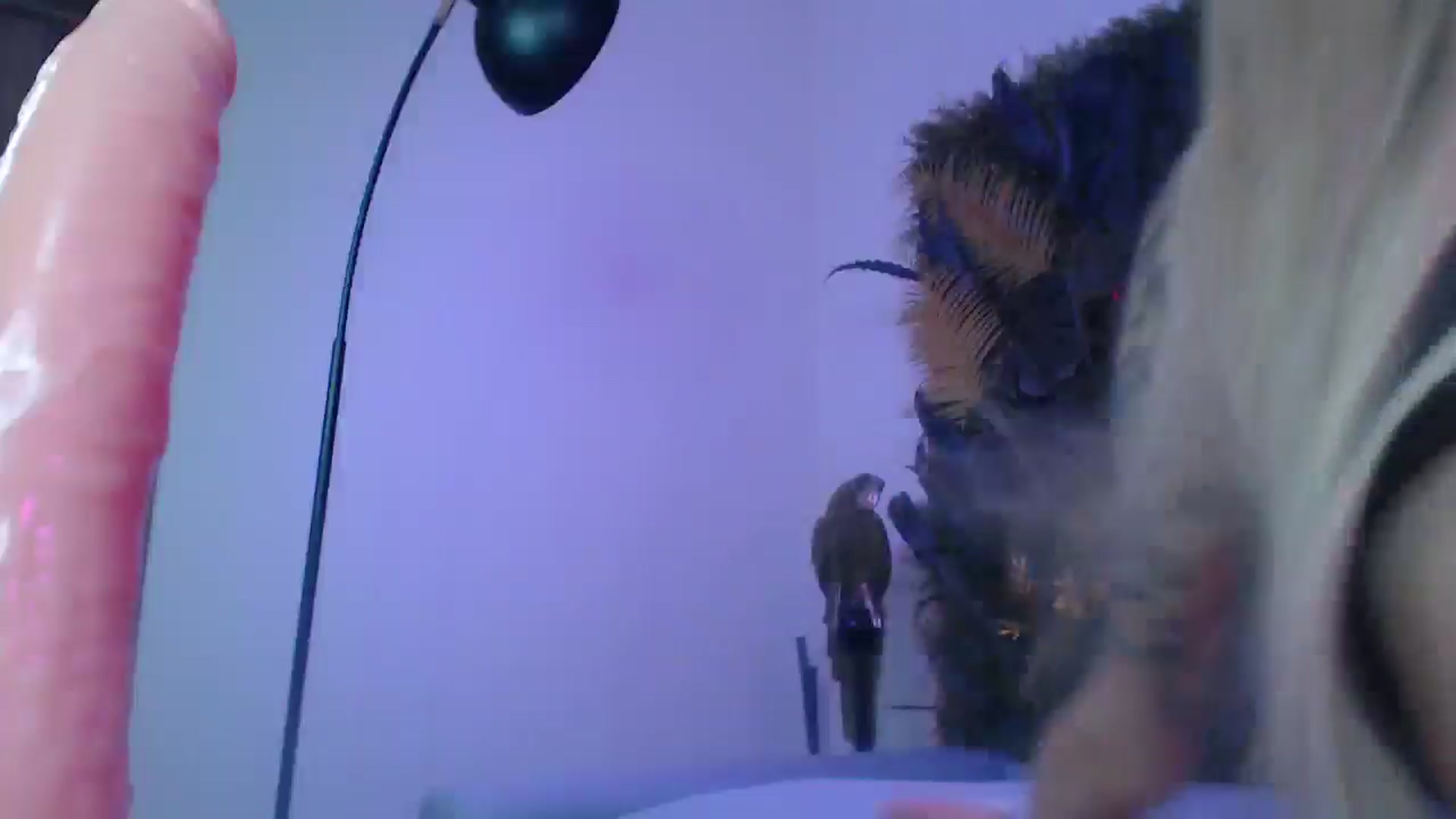 Gallery image thumbnail from Horny_Blond's myfreecams stream on, 07/15/2025, 10:56 image 11 of 20