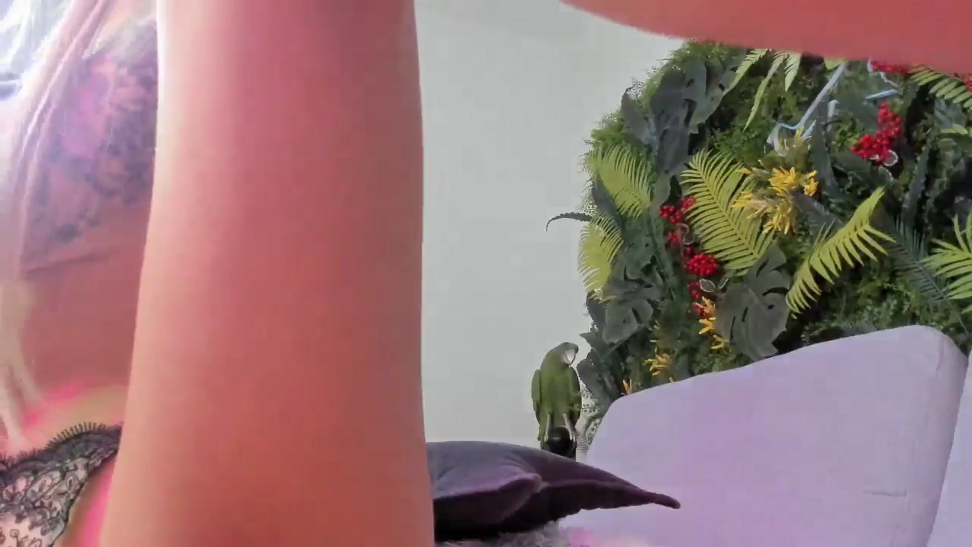 Gallery image thumbnail from Horny_Blond's myfreecams stream on, 09/22/2025, 10:19 image 15 of 20