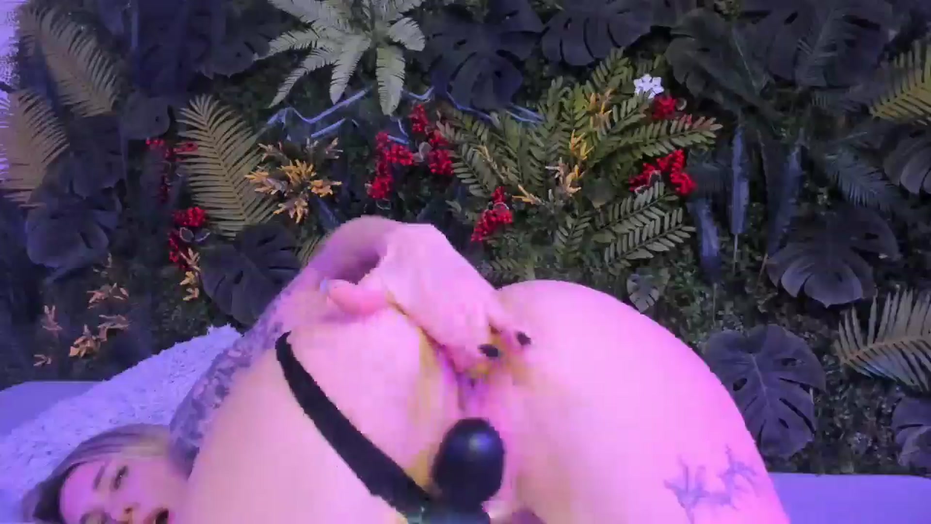 Gallery image thumbnail from Horny_Blond's myfreecams stream on, 11/16/2025, 14:38 image 16 of 20