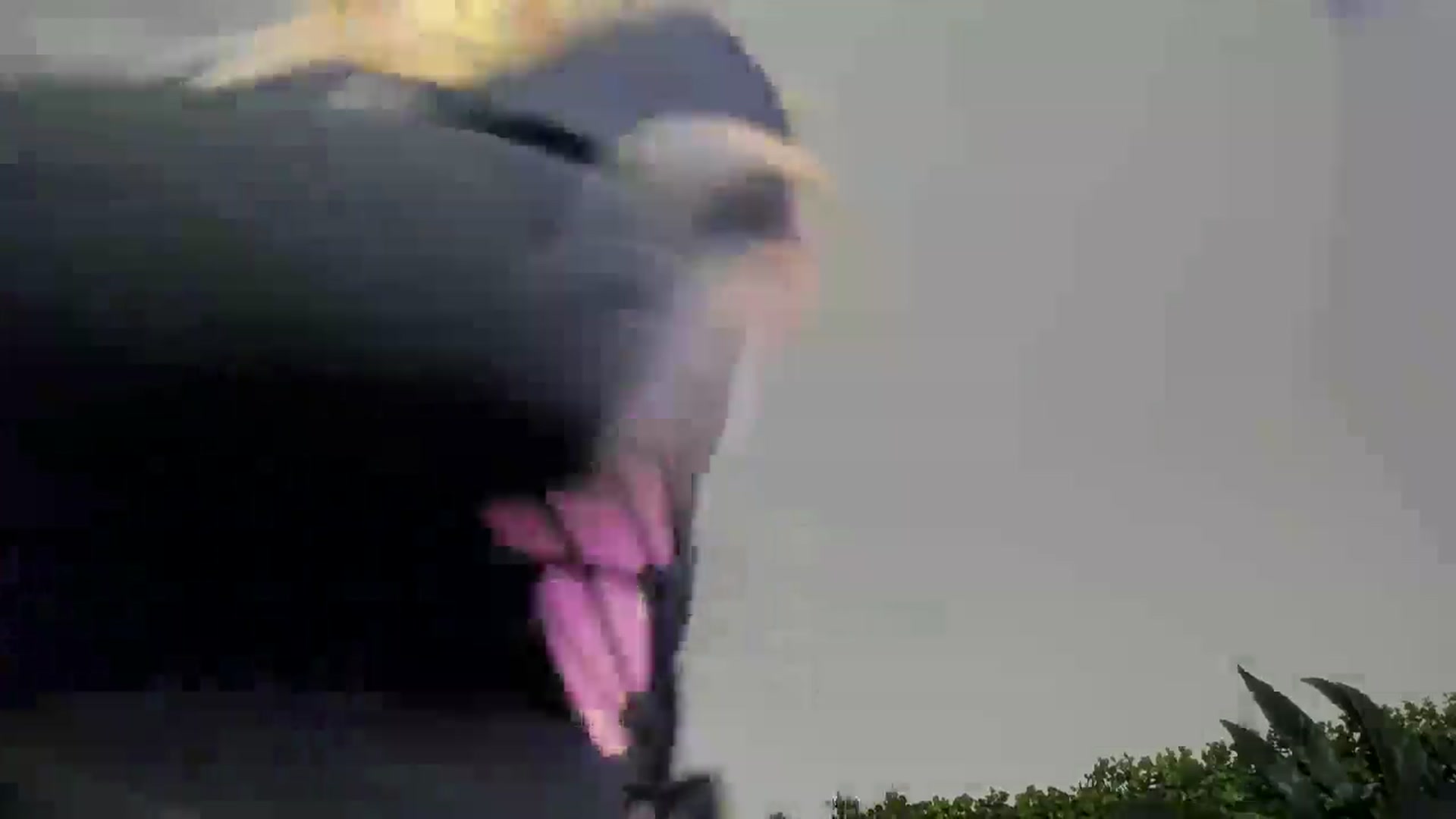 Gallery image thumbnail from Horny_Blond's myfreecams stream on, 11/23/2025, 11:02 image 4 of 20