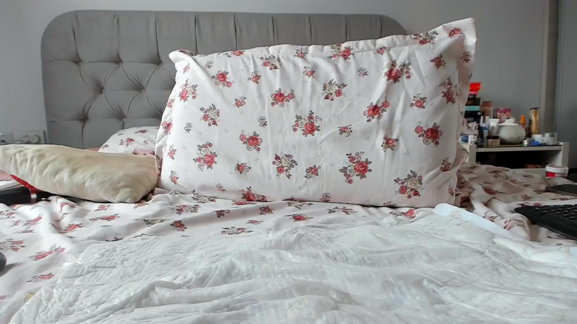 Gallery image thumbnail from Hornyashell_x's myfreecams stream on, 07/16/2025, 12:31 image 14 of 20
