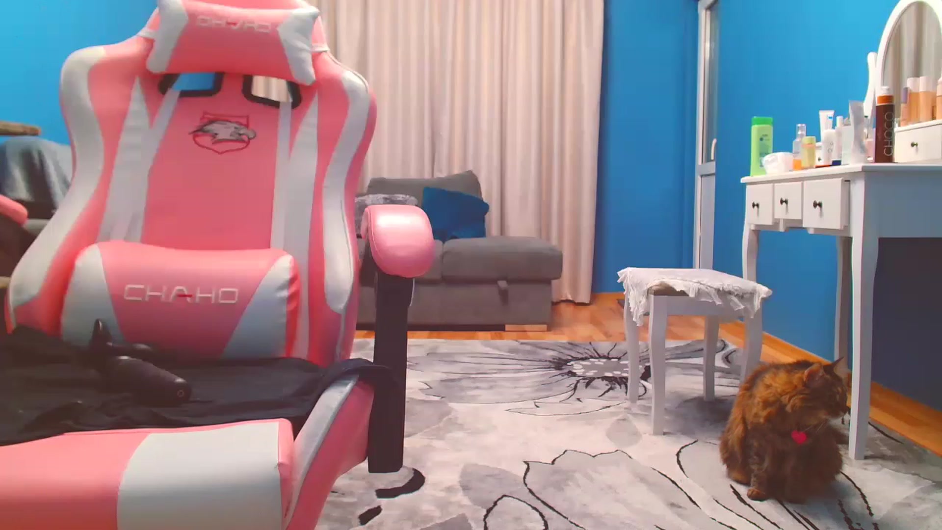 Gallery image thumbnail from HotCafeDelina's myfreecams stream on, 11/16/2022, 20:03 image 17 of 20