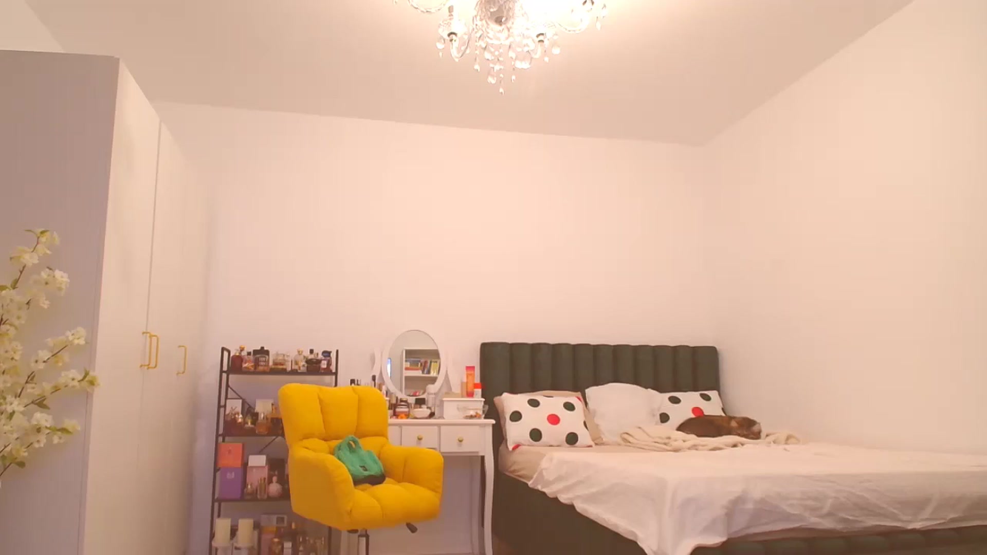 Gallery image thumbnail from HotCafeDelina's myfreecams stream on, 12/25/2025, 16:56 image 8 of 20
