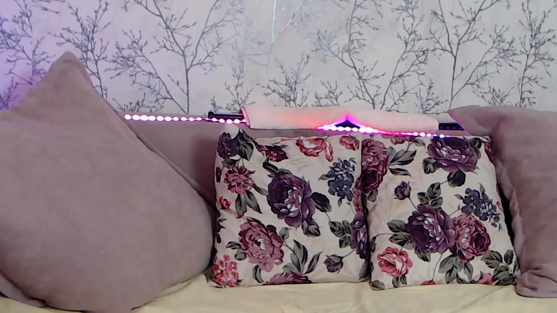 Gallery image thumbnail from HotCallia's myfreecams stream on, 07/12/2024, 08:01 image 13 of 20