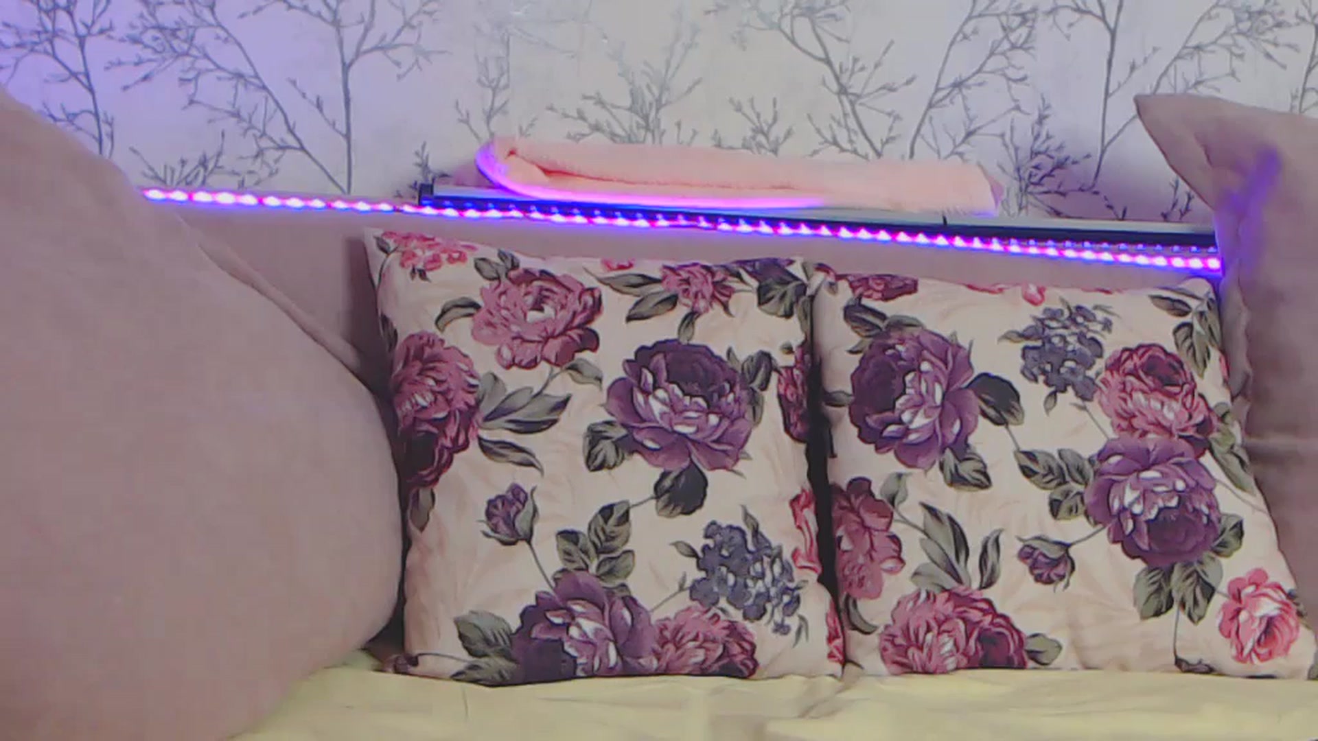 Gallery image thumbnail from HotCallia's myfreecams stream on, 07/20/2024, 08:18 image 13 of 20