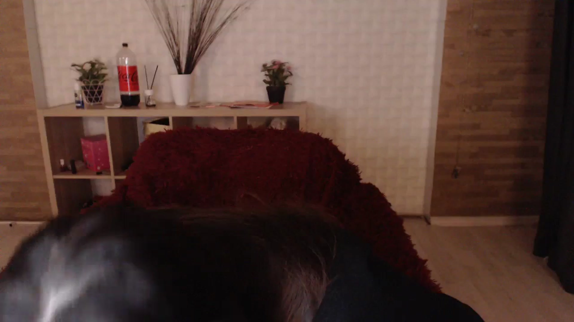Gallery image thumbnail from HotRebbecca's myfreecams stream on, 01/14/2024, 06:24 image 3 of 20