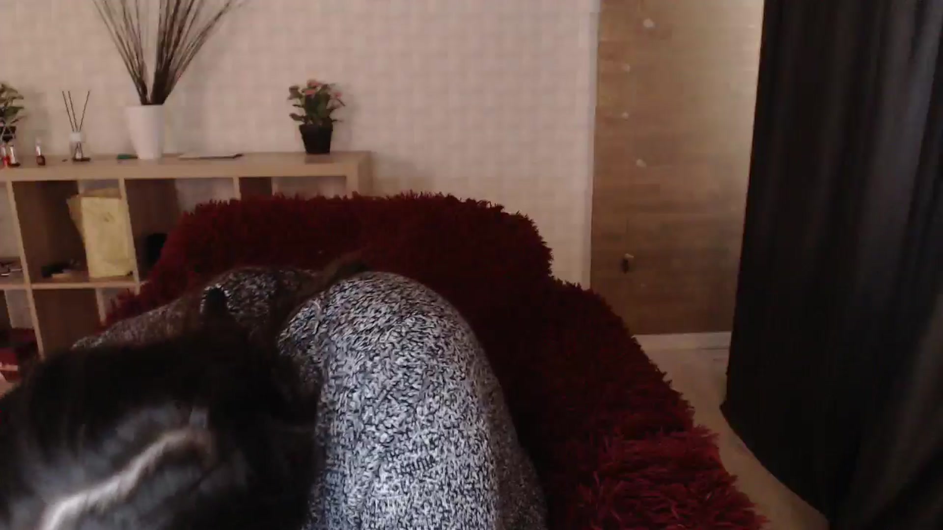 Gallery image thumbnail from HotRebbecca's myfreecams stream on, 04/19/2024, 06:16 image 6 of 20