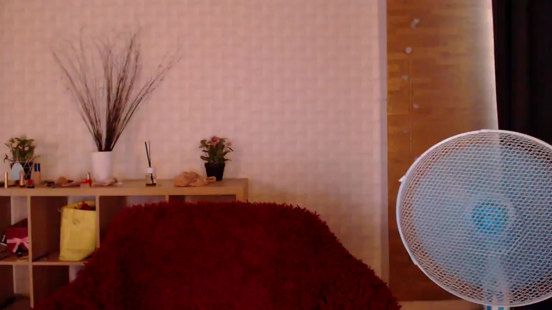 Gallery image thumbnail from HotRebbecca's myfreecams stream on, 07/09/2024, 06:50 image 8 of 20