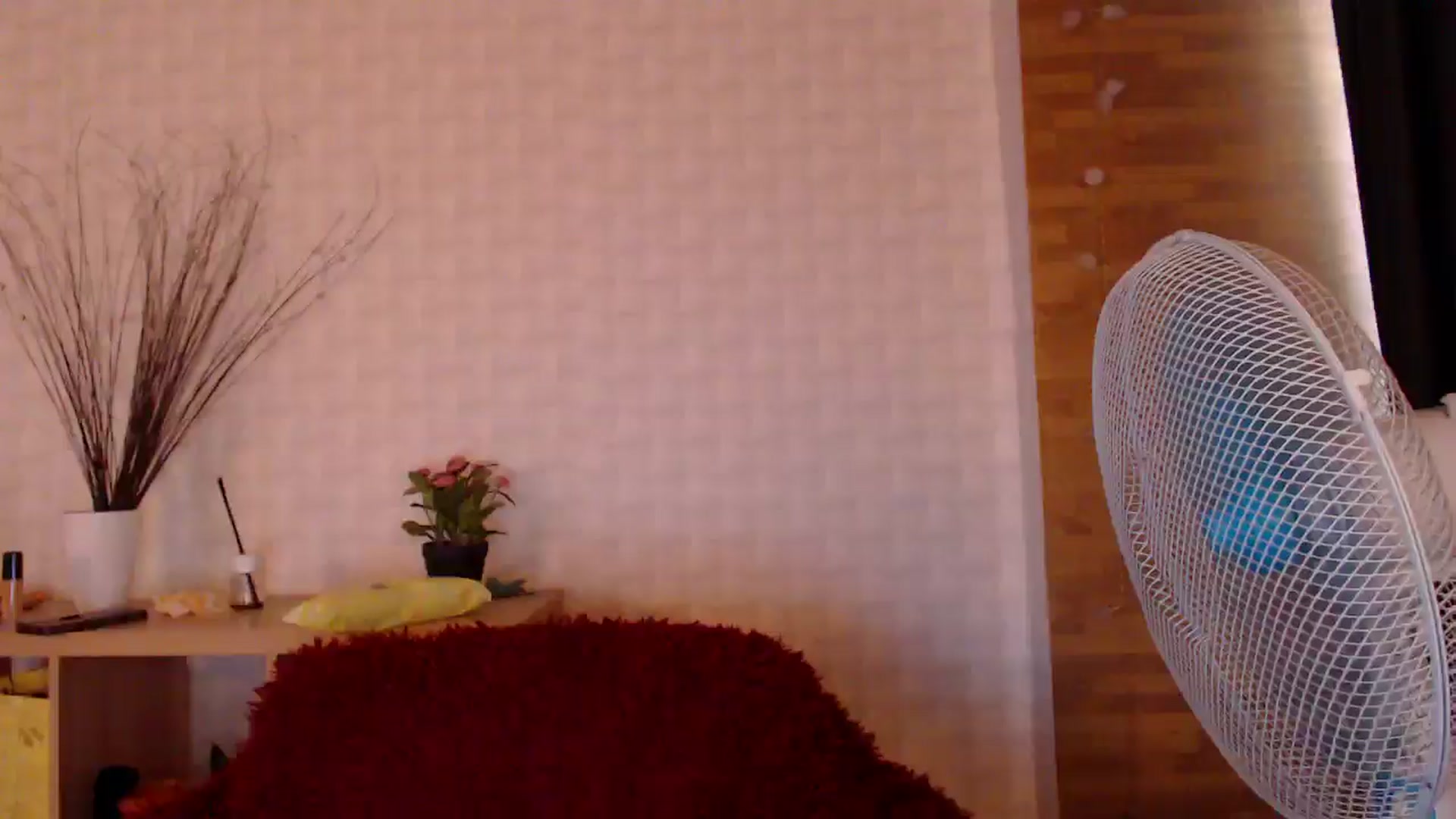 Gallery image thumbnail from HotRebbecca's myfreecams stream on, 07/29/2024, 06:43 image 20 of 20