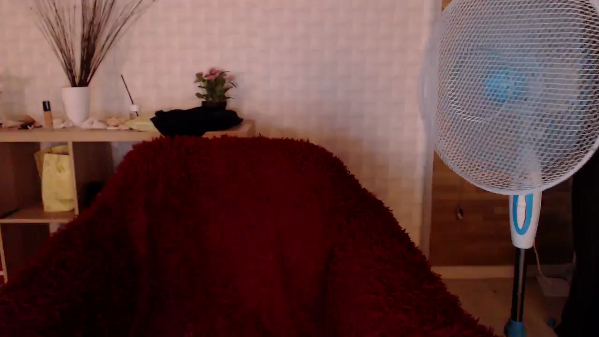 Gallery image thumbnail from HotRebbecca's myfreecams stream on, 08/02/2024, 05:58 image 9 of 20