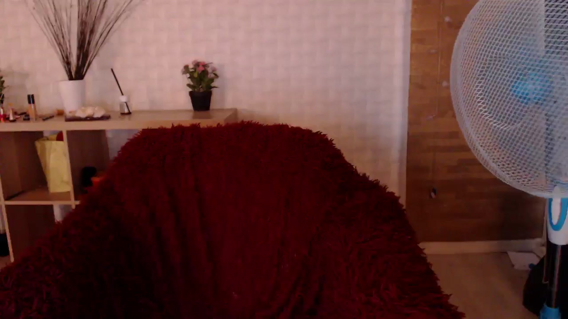 Gallery image thumbnail from HotRebbecca's myfreecams stream on, 08/12/2024, 07:02 image 9 of 20