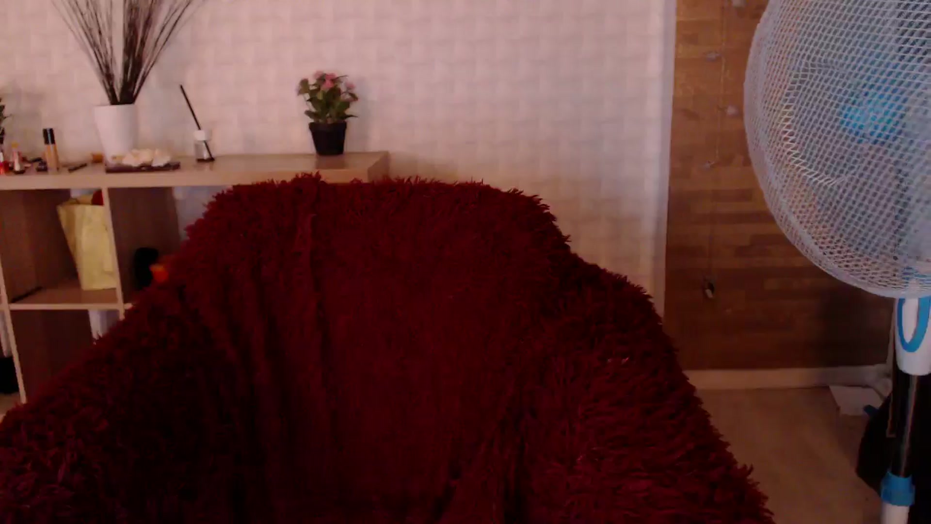 Gallery image thumbnail from HotRebbecca's myfreecams stream on, 08/12/2024, 07:02 image 16 of 20