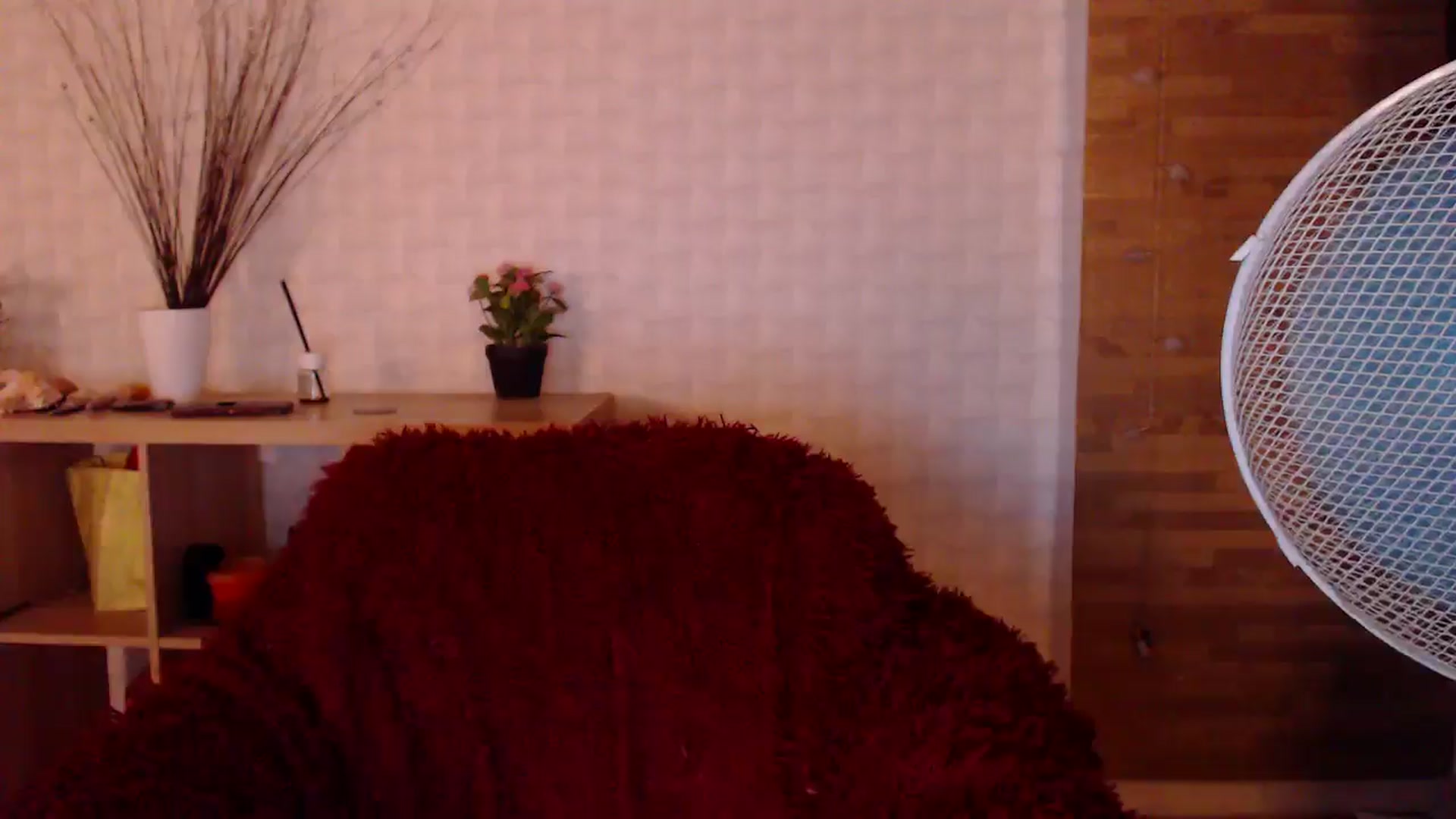Gallery image thumbnail from HotRebbecca's myfreecams stream on, 08/13/2024, 24:24 image 12 of 20
