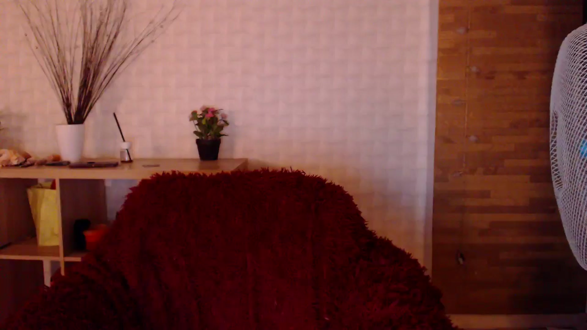 Gallery image thumbnail from HotRebbecca's myfreecams stream on, 08/13/2024, 24:24 image 11 of 20