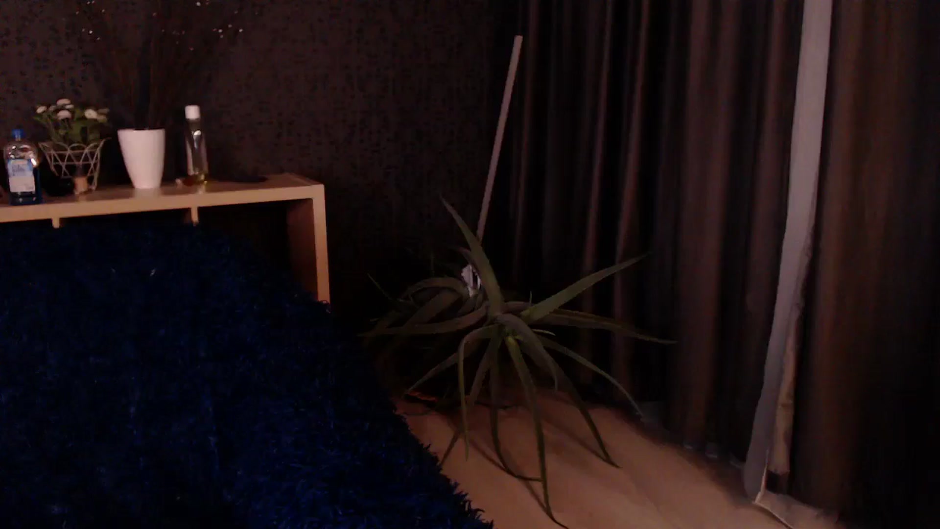 Gallery image thumbnail from HotRebbecca's myfreecams stream on, 11/28/2024, 24:04 image 2 of 20