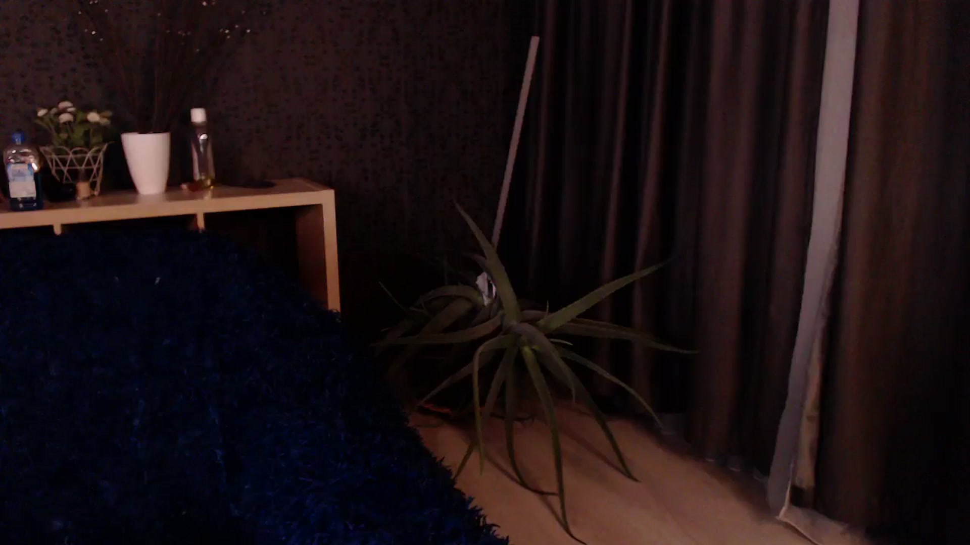Gallery image thumbnail from HotRebbecca's myfreecams stream on, 11/28/2024, 24:04 image 4 of 20