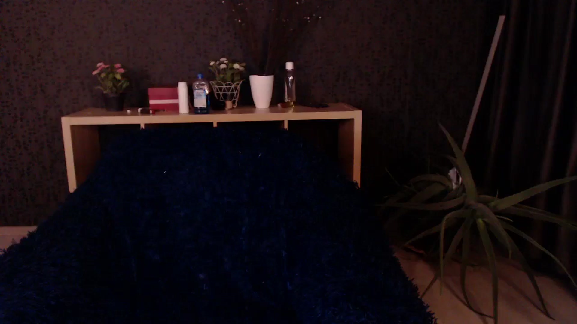 Gallery image thumbnail from HotRebbecca's myfreecams stream on, 11/28/2024, 24:04 image 7 of 20