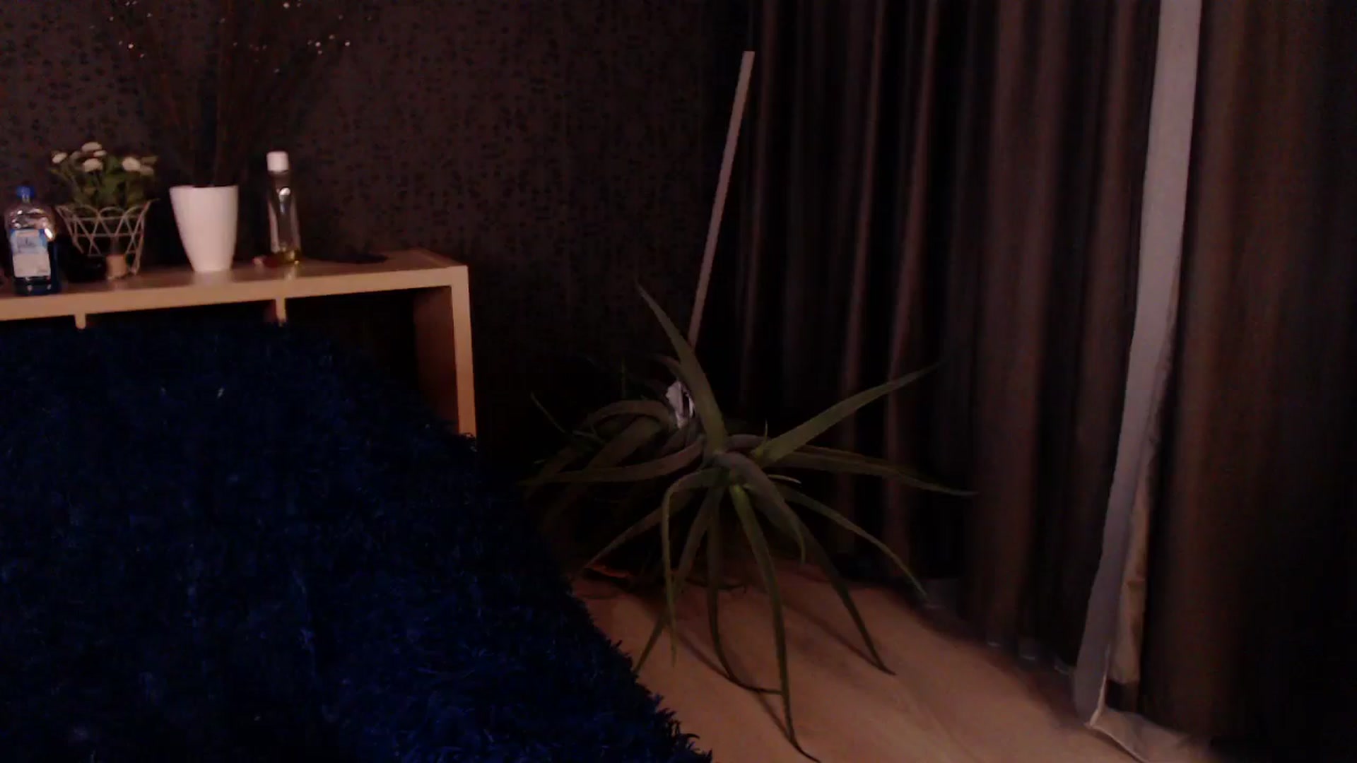Gallery image thumbnail from HotRebbecca's myfreecams stream on, 11/28/2024, 24:04 image 3 of 20