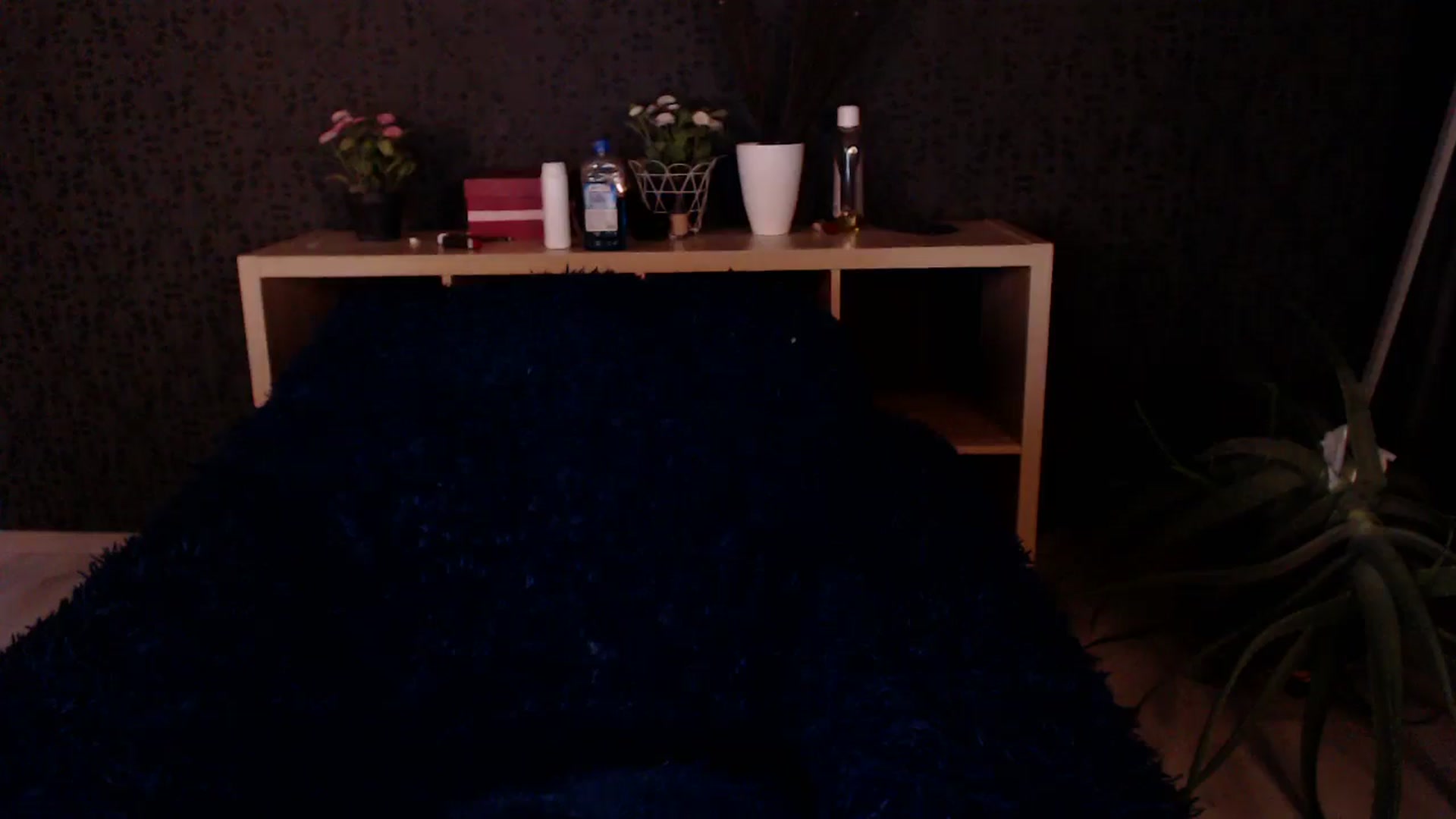 Gallery image thumbnail from HotRebbecca's myfreecams stream on, 12/02/2024, 05:38 image 11 of 20