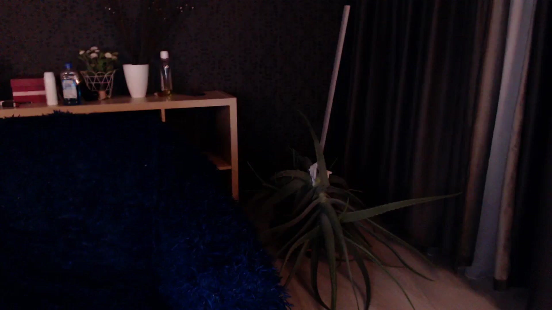 Gallery image thumbnail from HotRebbecca's myfreecams stream on, 12/04/2024, 24:07 image 6 of 20