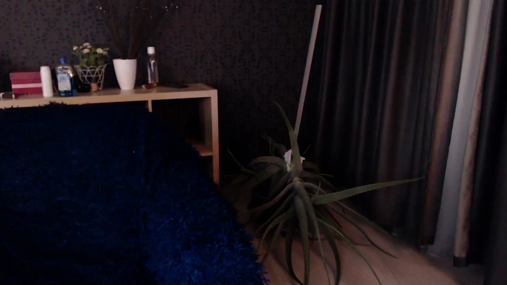 Gallery image thumbnail from HotRebbecca's myfreecams stream on, 12/04/2024, 24:07 image 3 of 20
