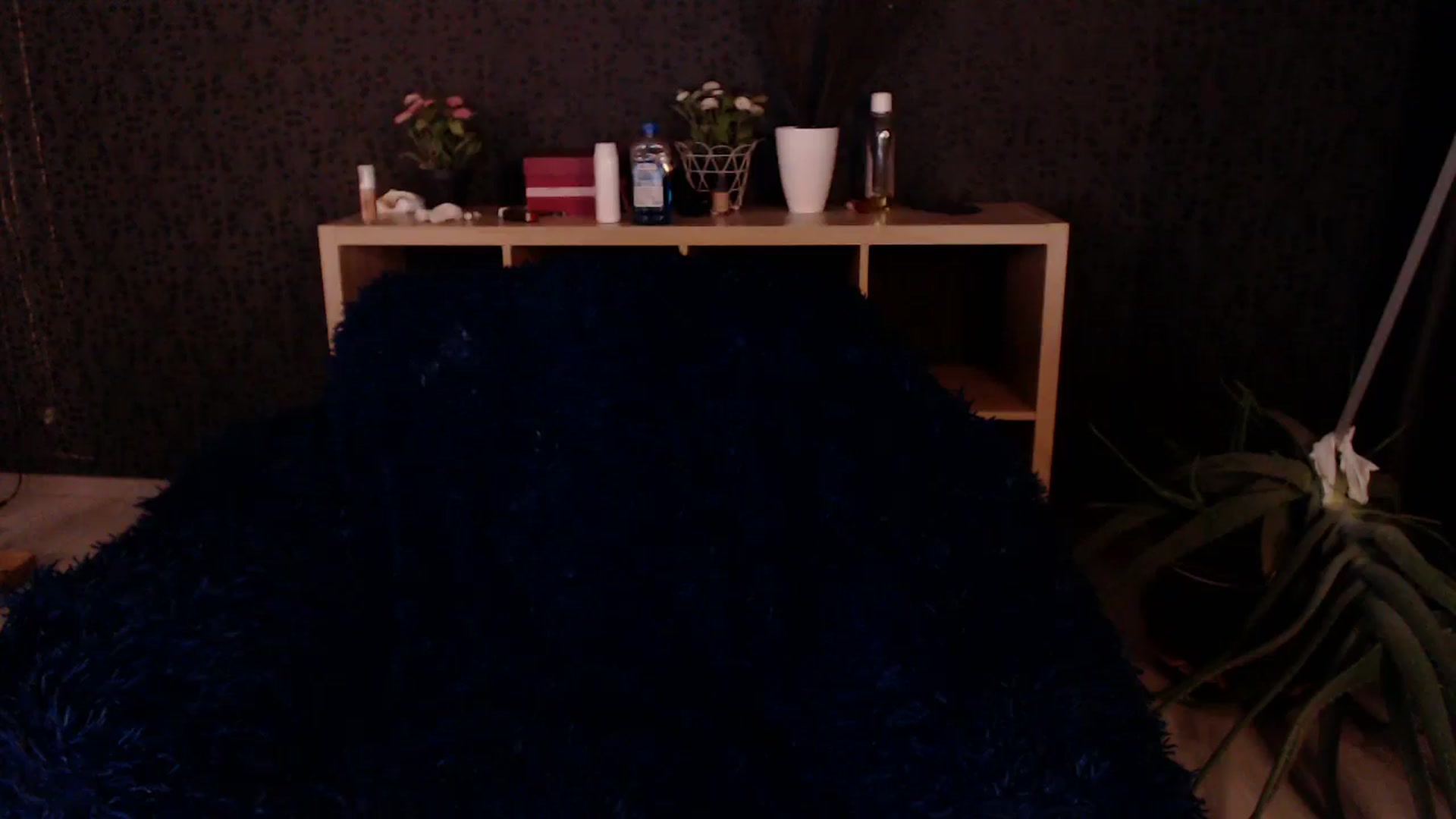 Gallery image thumbnail from HotRebbecca's myfreecams stream on, 12/09/2024, 02:34 image 2 of 20