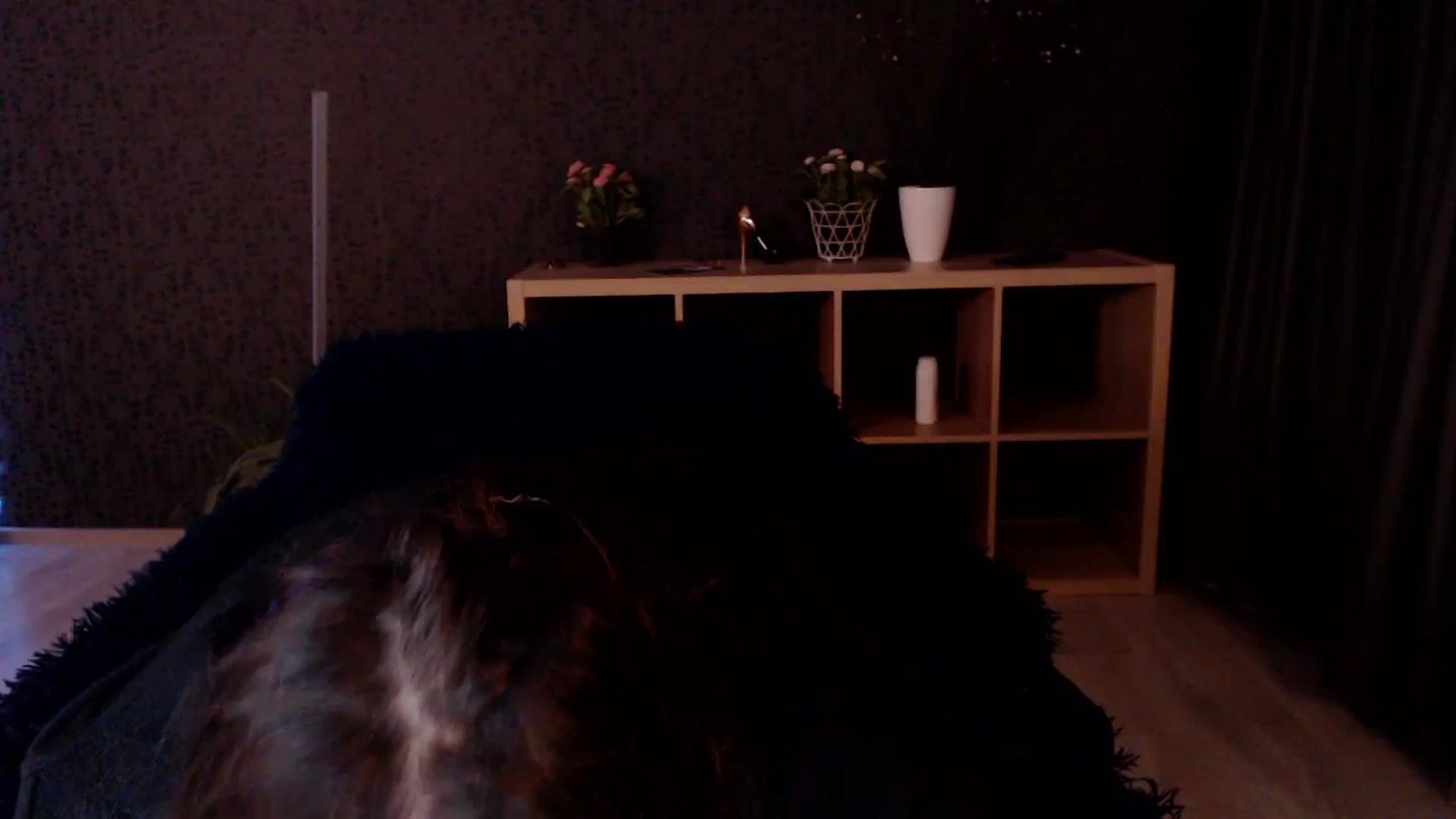 Gallery image thumbnail from HotRebbecca's myfreecams stream on, 03/14/2025, 03:10 image 16 of 20