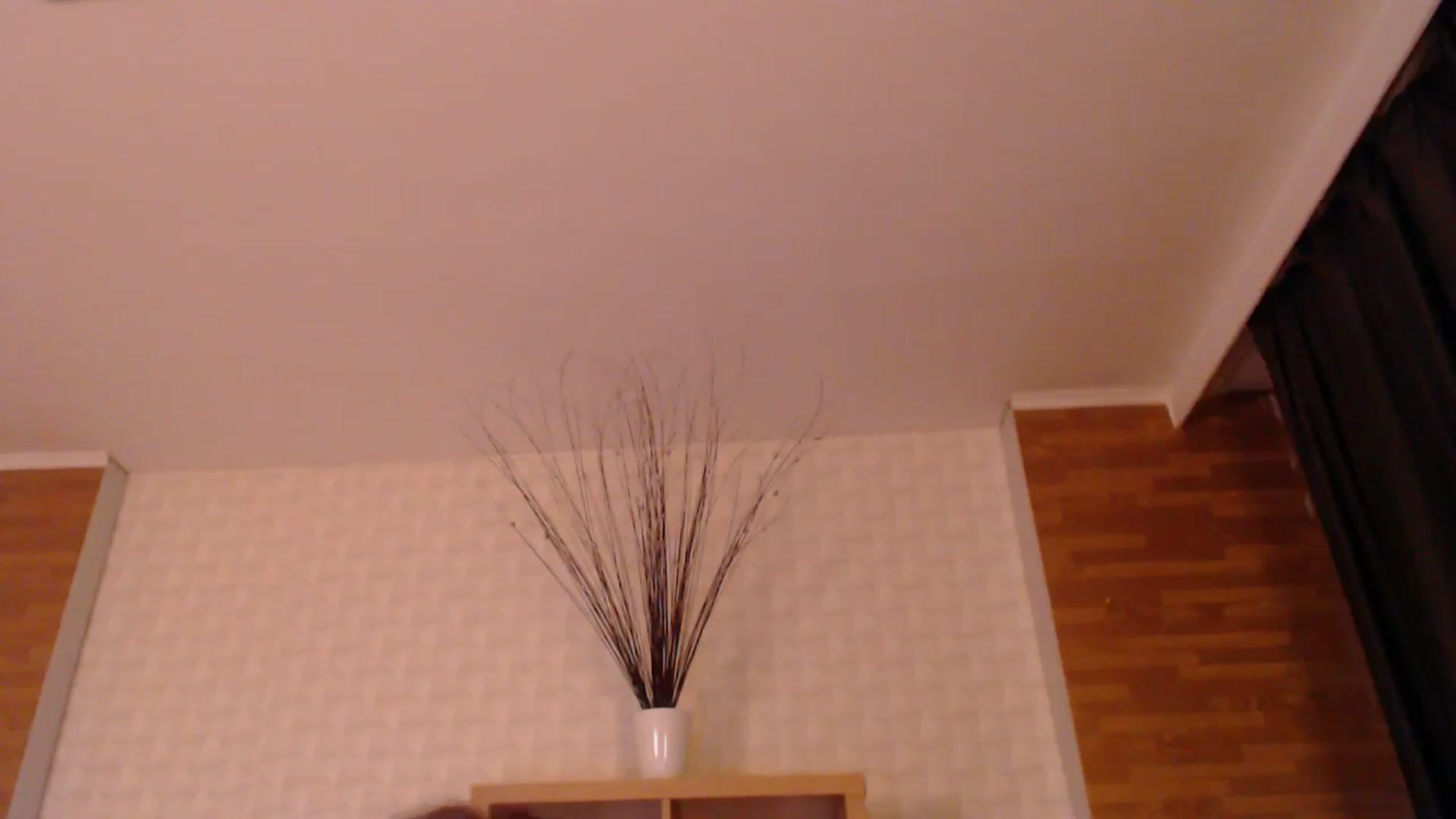 Gallery image thumbnail from HotRebbecca's myfreecams stream on, 06/07/2025, 19:58 image 17 of 20