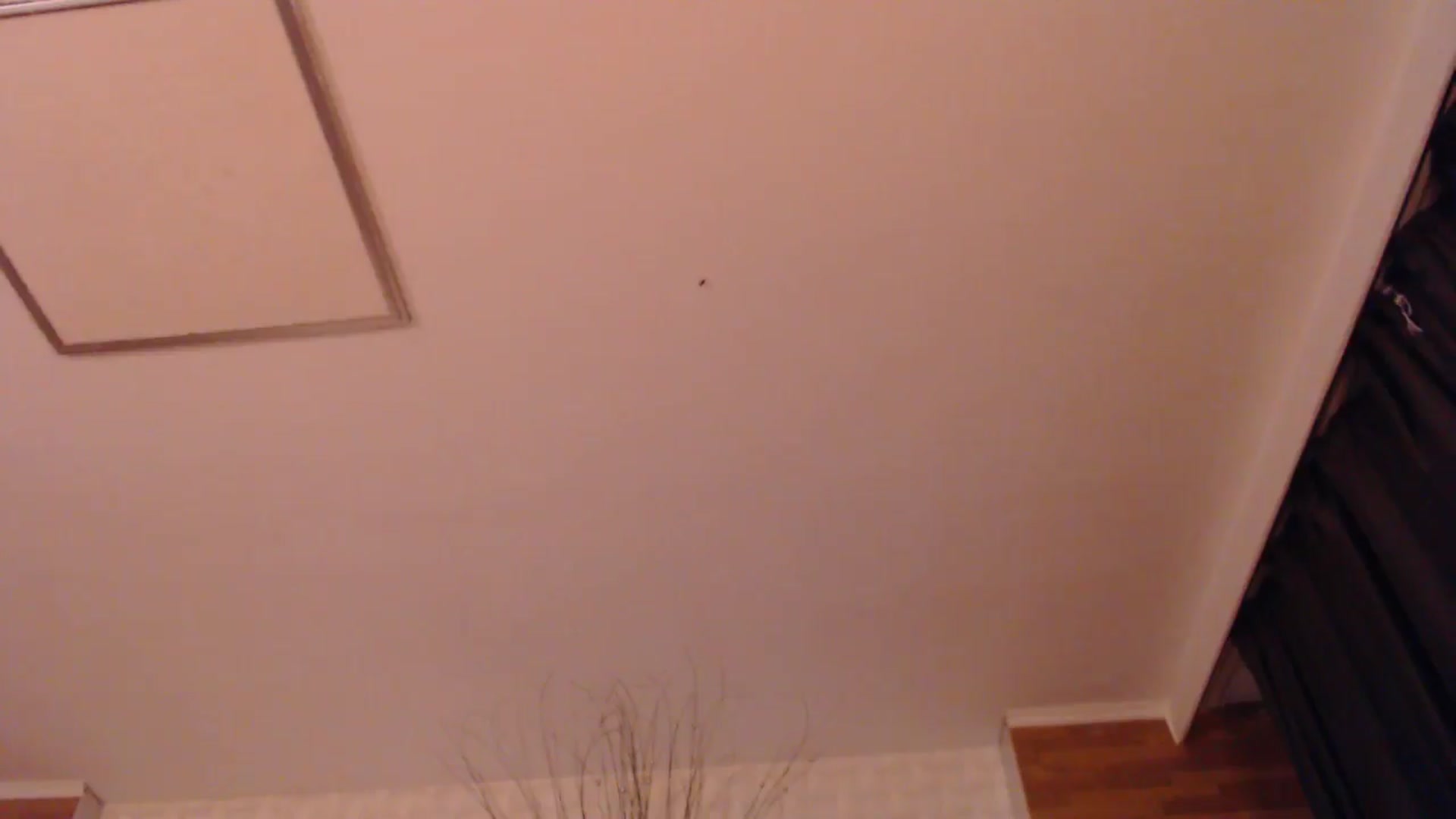 Gallery image thumbnail from HotRebbecca's myfreecams stream on, 06/08/2025, 20:09 image 11 of 20