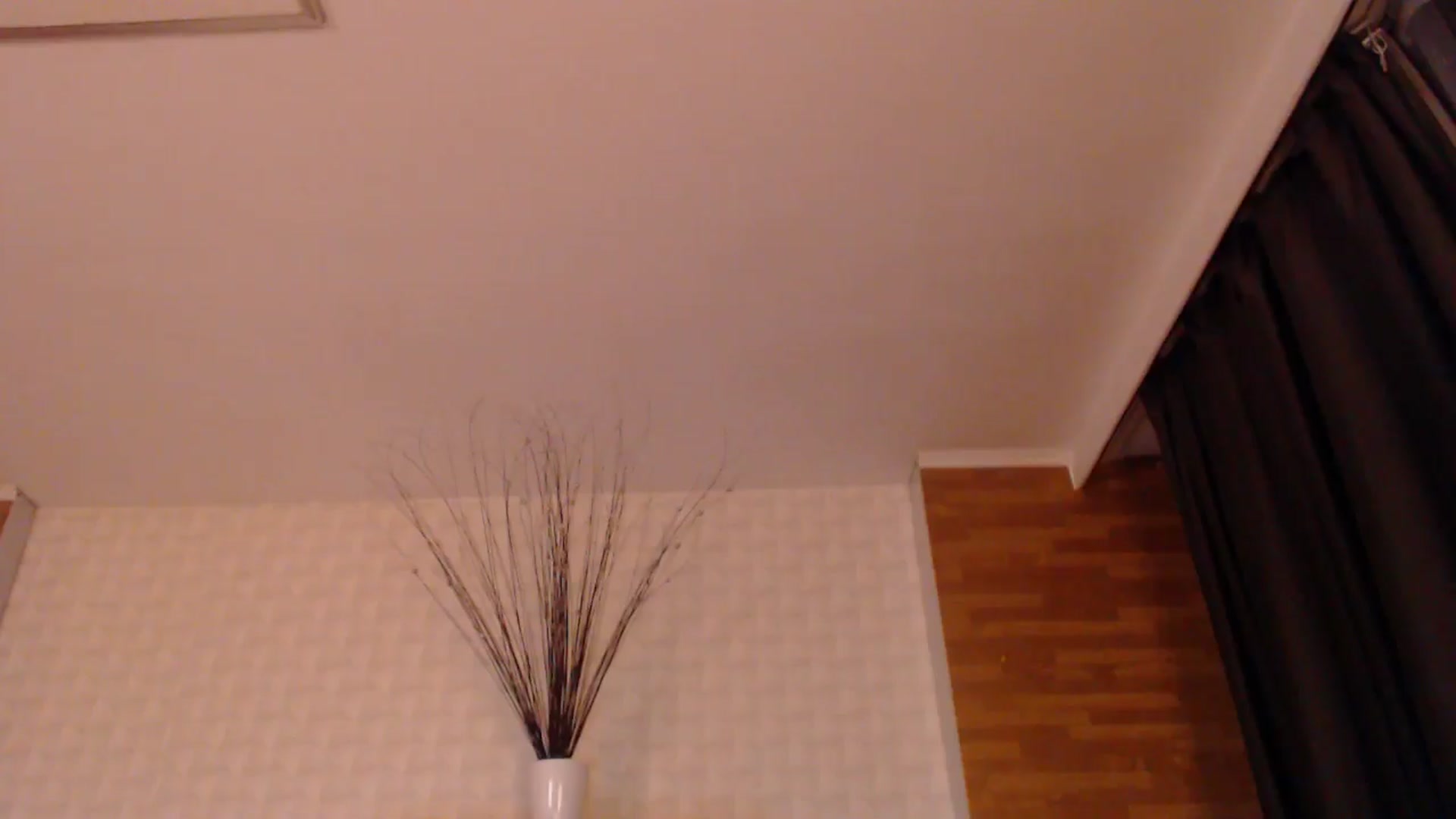 Gallery image thumbnail from HotRebbecca's myfreecams stream on, 06/10/2025, 20:45 image 14 of 20