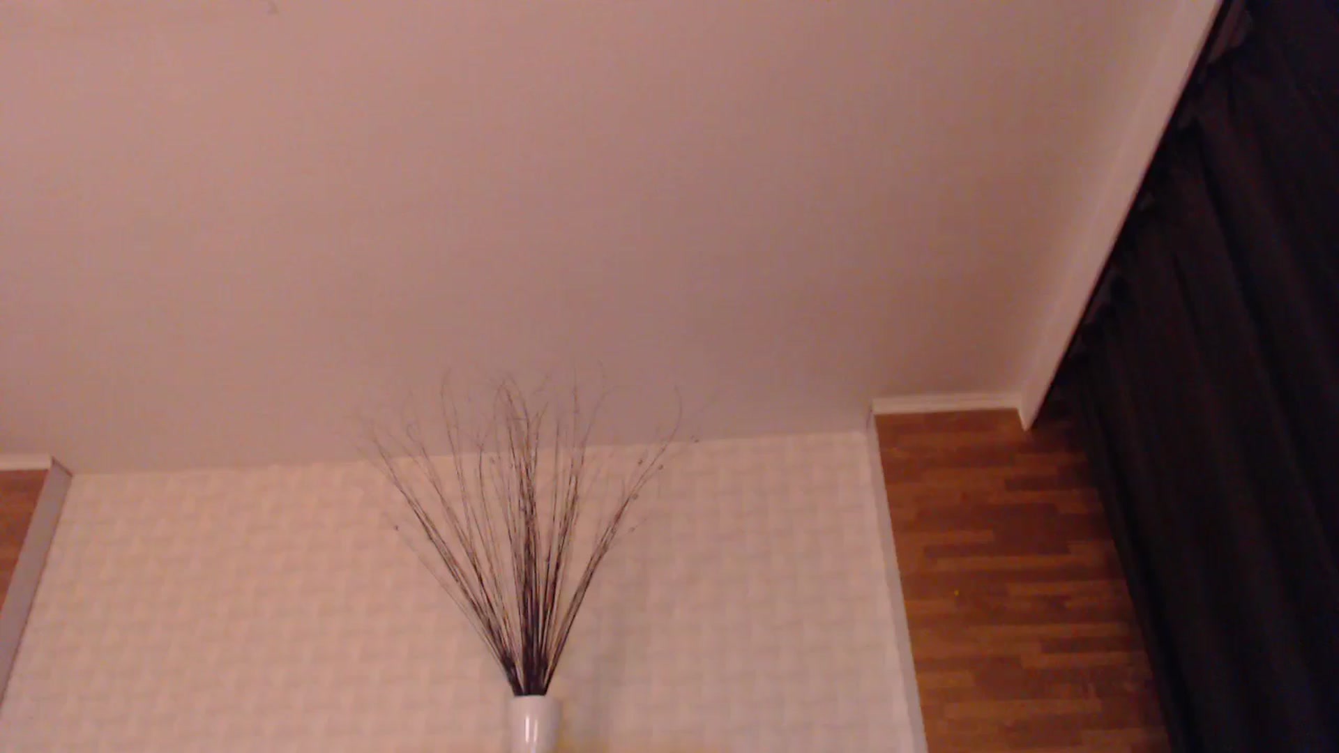 Gallery image thumbnail from HotRebbecca's myfreecams stream on, 08/17/2025, 22:24 image 4 of 20